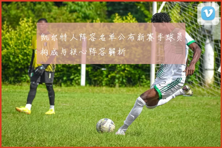 凯尔特人阵容名单公布新赛季球员构成与核心阵容解析